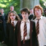 Clase Hagrid