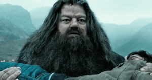 ¿Qué le sucedió a Hagrid después de que Harry Potter terminara?