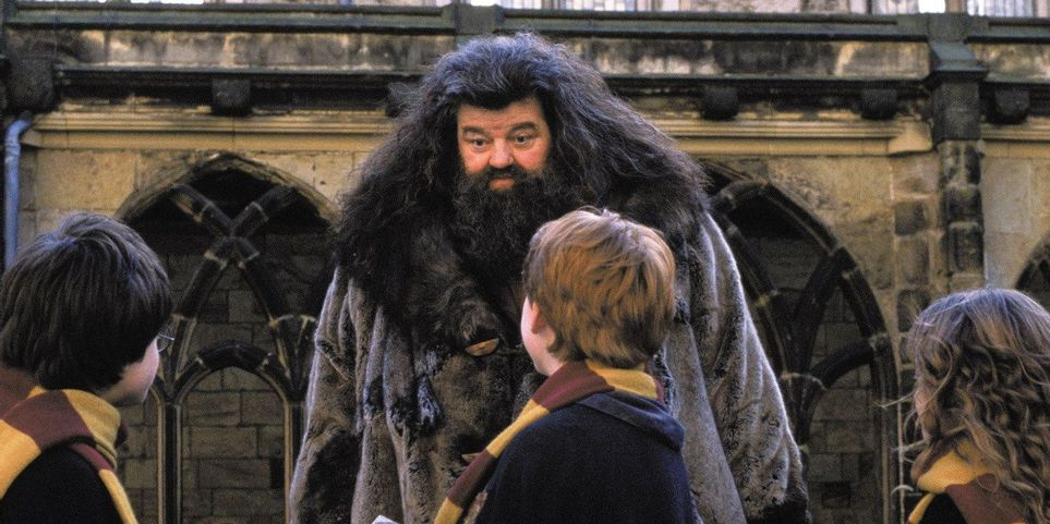 ¿Qué Le Sucedió A Hagrid Después De Que Harry Potter Terminara?